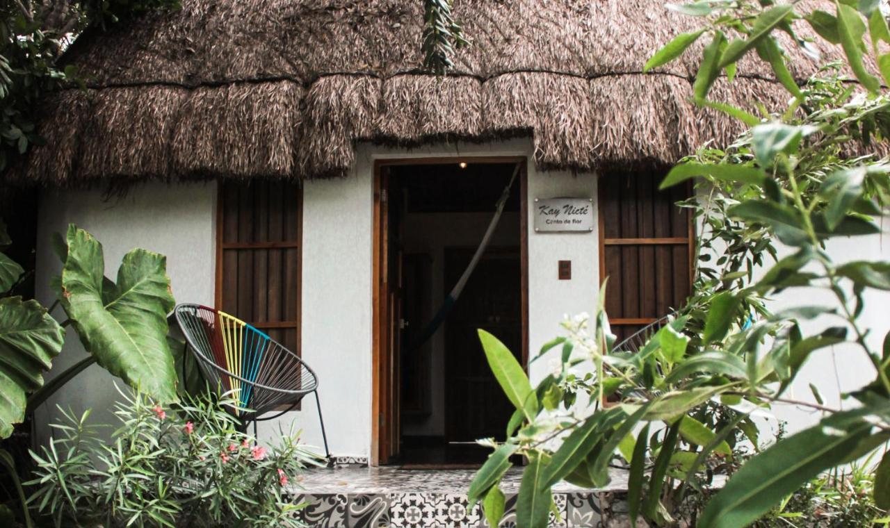 Cenote San Ignacio Villa Chochola Exterior photo